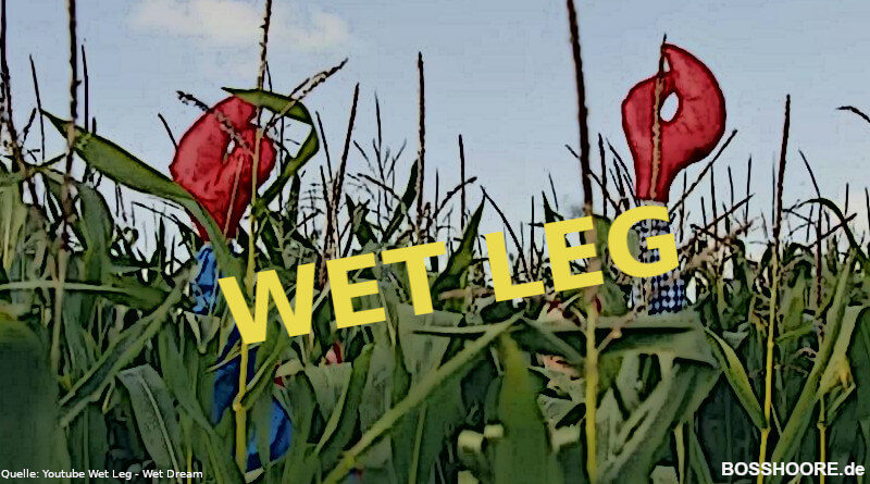 Wet Leg - Wet Dream